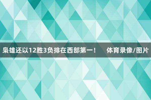枭雄还以12胜3负排在西部第一！    体育录像/图片