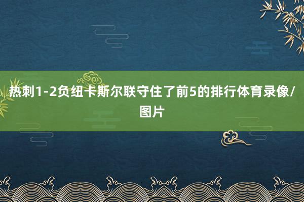 热刺1-2负纽卡斯尔联守住了前5的排行体育录像/图片