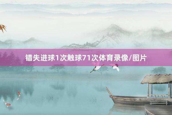 错失进球1次触球71次体育录像/图片