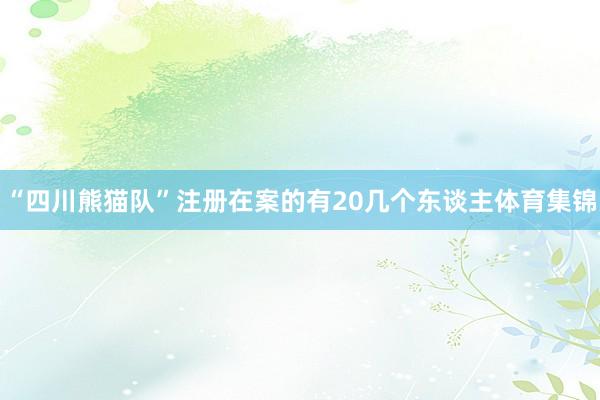 “四川熊猫队”注册在案的有20几个东谈主体育集锦