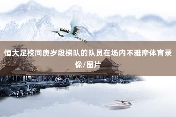 恒大足校同庚岁段梯队的队员在场内不雅摩体育录像/图片