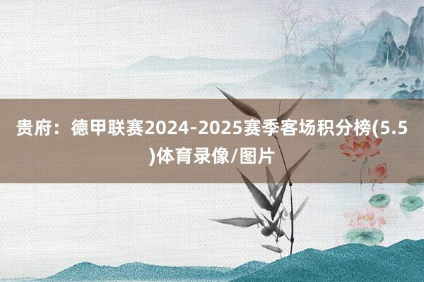 贵府：德甲联赛2024-2025赛季客场积分榜(5.5)体育录像/图片