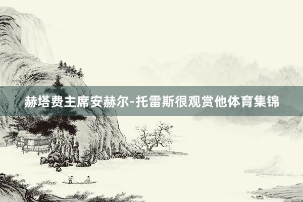 赫塔费主席安赫尔-托雷斯很观赏他体育集锦