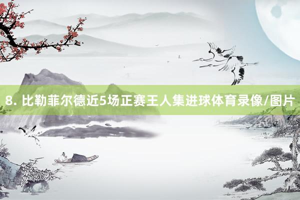 8. 比勒菲尔德近5场正赛王人集进球体育录像/图片