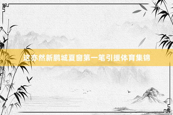 这亦然新鹏城夏窗第一笔引援体育集锦