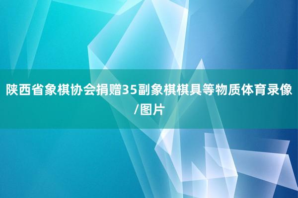 陕西省象棋协会捐赠35副象棋棋具等物质体育录像/图片