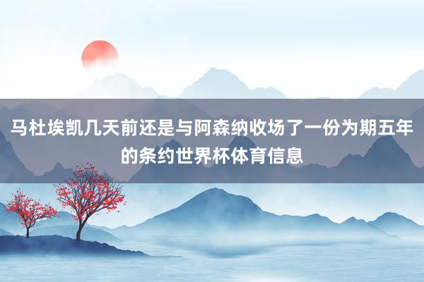 马杜埃凯几天前还是与阿森纳收场了一份为期五年的条约世界杯体育信息