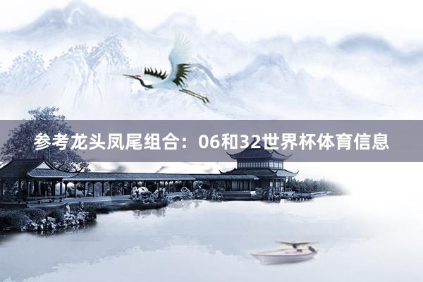 参考龙头凤尾组合：06和32世界杯体育信息