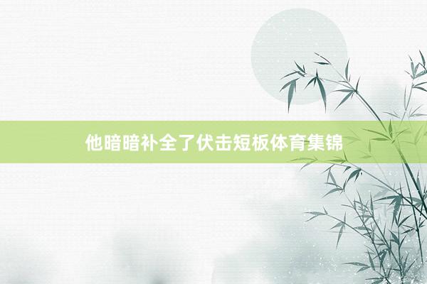 他暗暗补全了伏击短板体育集锦