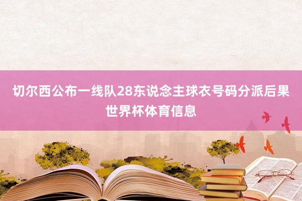 切尔西公布一线队28东说念主球衣号码分派后果世界杯体育信息