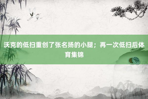沃克的低扫重创了张名扬的小腿；再一次低扫后体育集锦