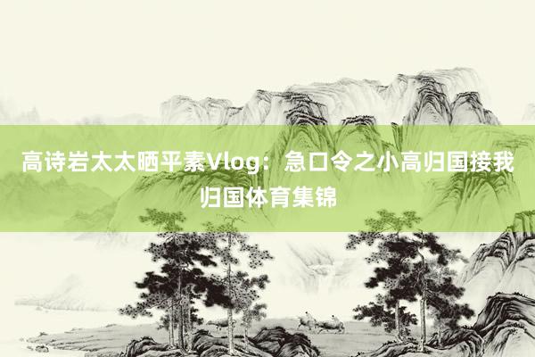 高诗岩太太晒平素Vlog：急口令之小高归国接我归国体育集锦