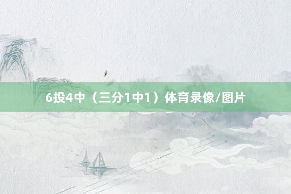 6投4中（三分1中1）体育录像/图片