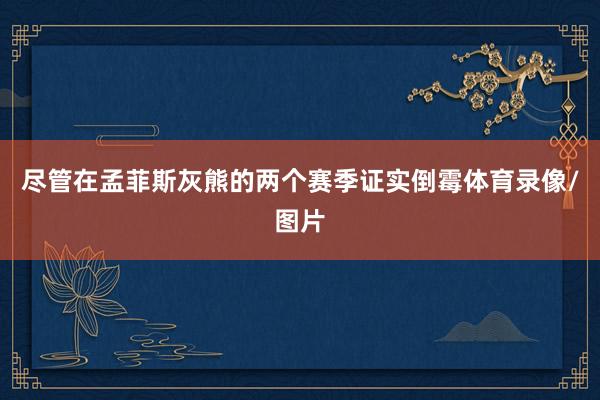 尽管在孟菲斯灰熊的两个赛季证实倒霉体育录像/图片