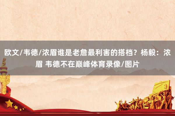 欧文/韦德/浓眉谁是老詹最利害的搭档？杨毅：浓眉 韦德不在巅峰体育录像/图片