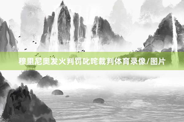 穆里尼奥发火判罚叱咤裁判体育录像/图片