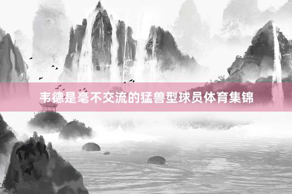 韦德是毫不交流的猛兽型球员体育集锦