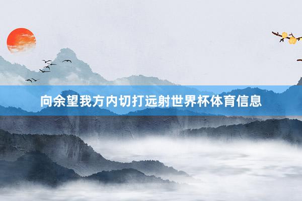 向余望我方内切打远射世界杯体育信息