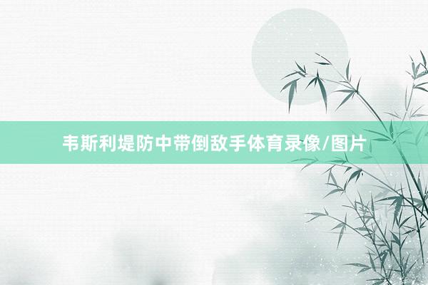 韦斯利堤防中带倒敌手体育录像/图片