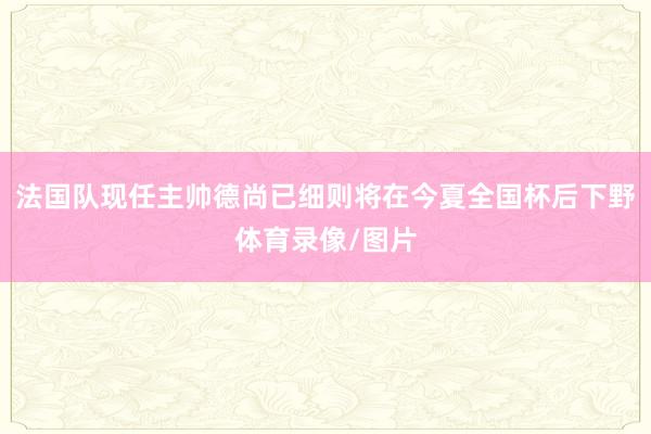 法国队现任主帅德尚已细则将在今夏全国杯后下野体育录像/图片
