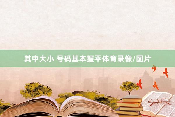 其中大小 号码基本握平体育录像/图片