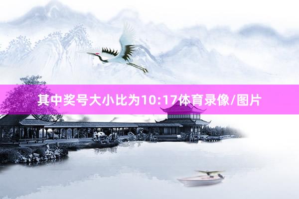 其中奖号大小比为10:17体育录像/图片