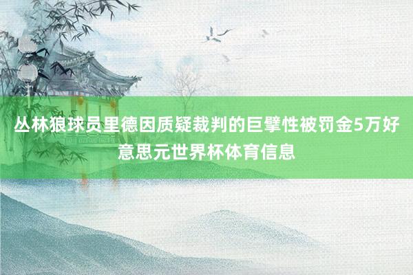 丛林狼球员里德因质疑裁判的巨擘性被罚金5万好意思元世界杯体育信息