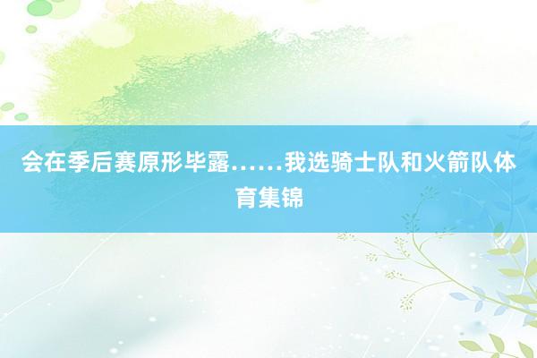 会在季后赛原形毕露……我选骑士队和火箭队体育集锦