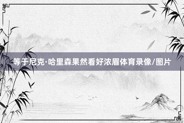 等于尼克·哈里森果然看好浓眉体育录像/图片