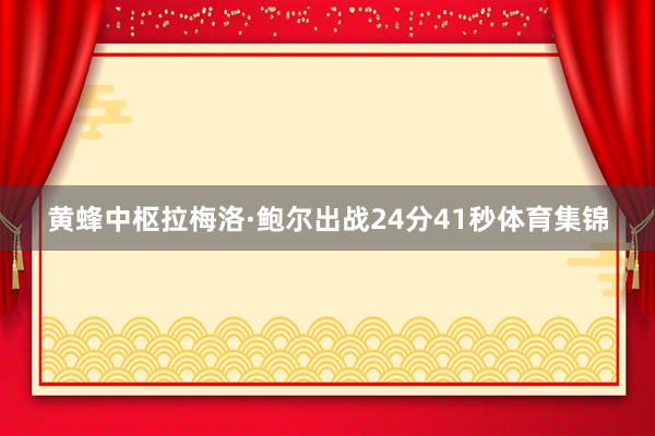 黄蜂中枢拉梅洛·鲍尔出战24分41秒体育集锦