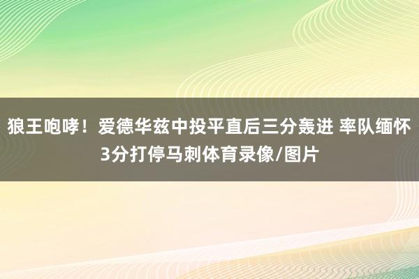 狼王咆哮！爱德华兹中投平直后三分轰进 率队缅怀3分打停马刺体育录像/图片