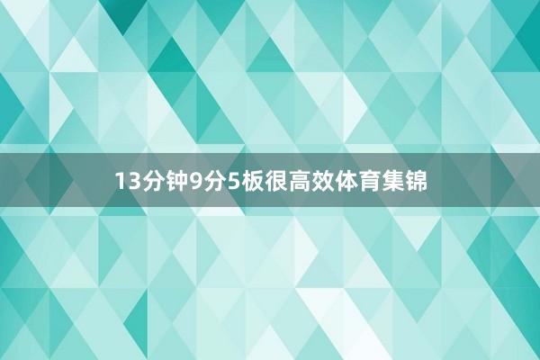 13分钟9分5板很高效体育集锦