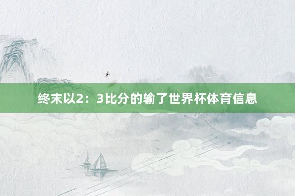 终末以2：3比分的输了世界杯体育信息