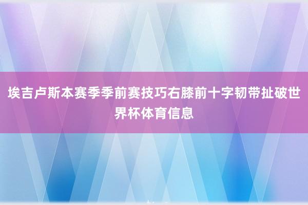 埃吉卢斯本赛季季前赛技巧右膝前十字韧带扯破世界杯体育信息