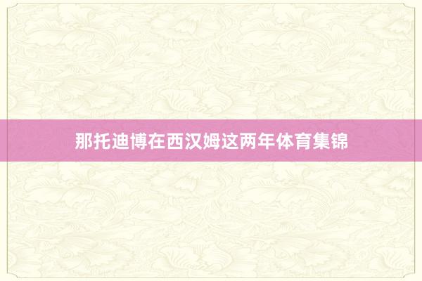 那托迪博在西汉姆这两年体育集锦