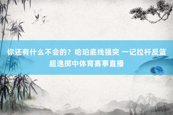 你还有什么不会的？哈珀底线强突 一记拉杆反篮超逸掷中体育赛事直播