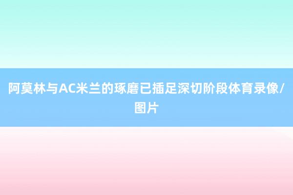 阿莫林与AC米兰的琢磨已插足深切阶段体育录像/图片
